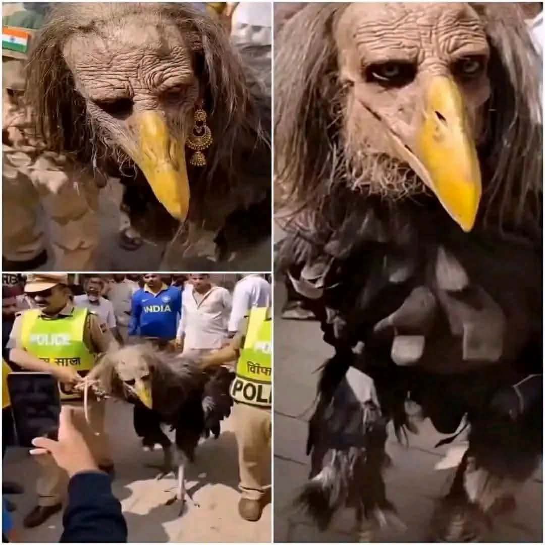 كائن غريب يظهر في الهند منذ 3 أيام دقيقة واحدة