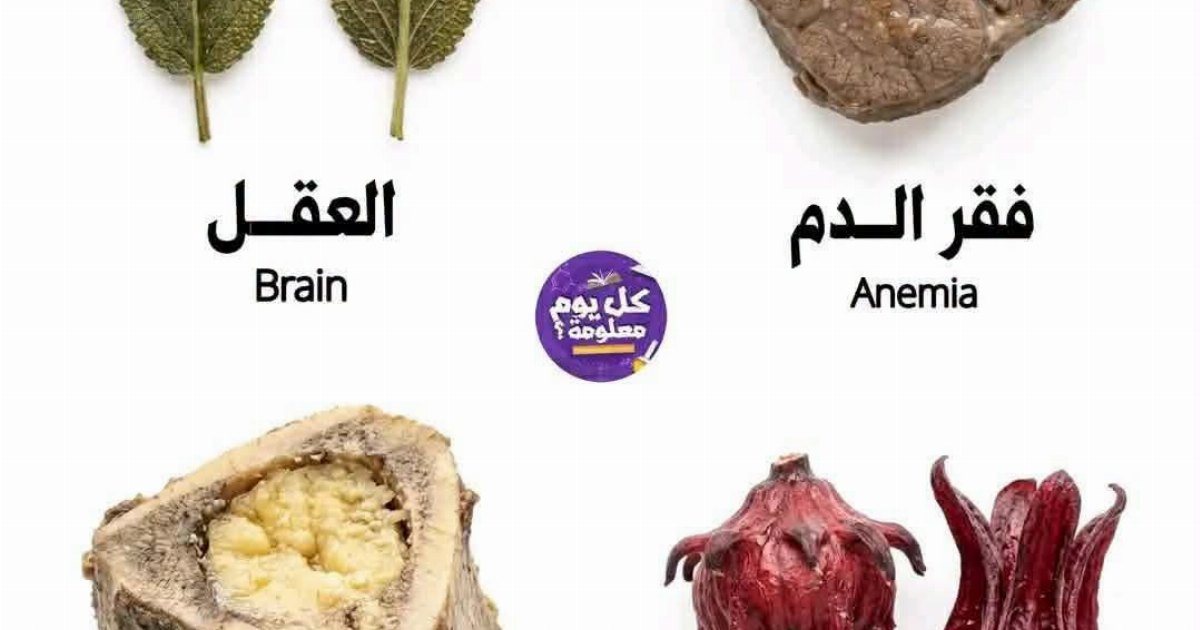 ✅️ طعام فقر الدــ,,ـــم المفضل : لحم